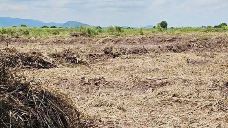 មន្ត្រី​ជំនាញ​រដ្ឋបាល​ជលផល​ខេត្ត​កំពង់ឆ្នាំង កំពុង​ស្រាវជ្រាវ​រក​ជន​ប្រព្រឹត្ត​បទល្មើស​ចូល​លួច​ឈូសឆាយ​ដីព្រៃ​លិច​ទឹក