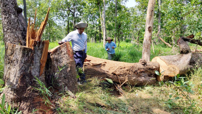 រាជបណ្ឌិត្យ​សភា​ដាក់​ផែនការ​ប្រែក្លាយ​ឧទ្យាន​តេជោសែន​ឫស្សី​ត្រឹប​ជា​កន្លែង​សិក្សា​ស្រាវជ្រាវ​ និង​ទេសចរណ៍