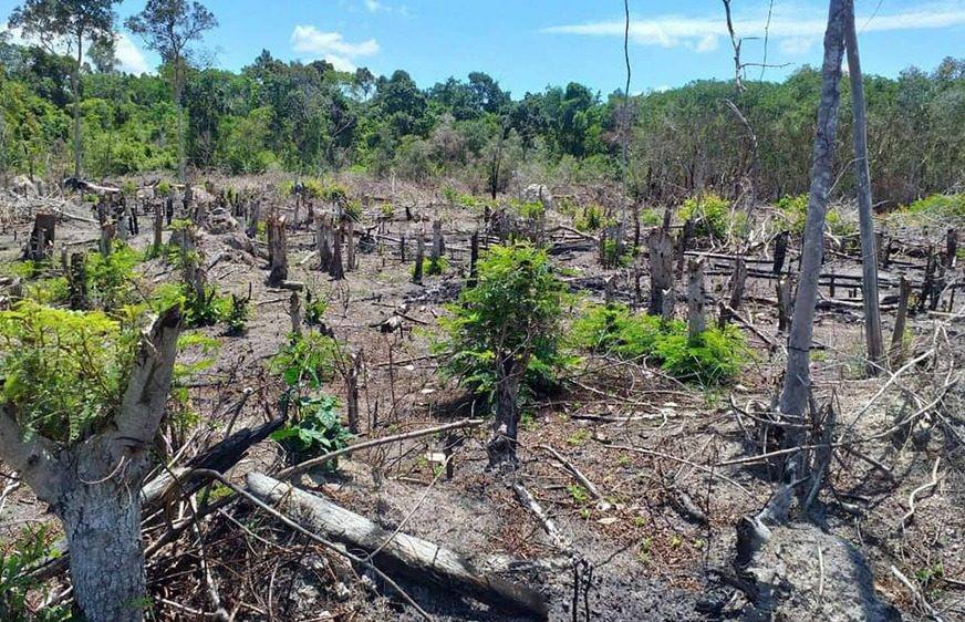 ក្រសួង​​កសិកម្ម​​ព្រមាន​​ចាត់​វិធាន​ការ​​ច្បាប់​​លើ​​អ្នក​​កាប់​​រុក​រាន​​ឬ​ដុត​​ព្រៃ​​ធ្វើ​​ឱ្យ​​ប៉ះពាល់​​បរិស្ថាន​​និង​​សេដ្ឋ​កិច្ច​​ជាតិ​