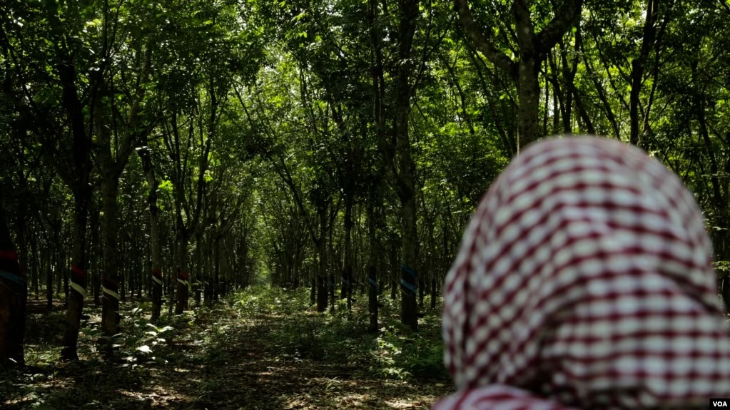 សមាជិក​សហគមន៍​ស្រែ​ប្រាំង​ថា សេចក្តី​សម្រេច​របស់​សាលាឧទ្ធរណ៍​ជា​ការ​ដាក់​សម្ពាធ​លើ​ពលរដ្ឋ​ទន់​ខ្សោយ 