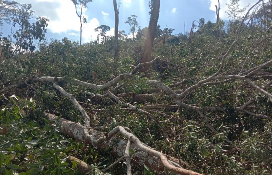 ពលរដ្ឋស្នើអាជ្ញាធរចាត់វិធានការលើបុគ្គលដែលទន្ទ្រានដីនៅដែនជម្រកសត្វព្រៃភ្នំណាមលៀរ