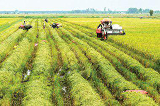 អតីតមេបក្សប្រឆាំង ស្នើរាជរដ្ឋាភិបាល អនុវត្តគោល នយោបាយកសិកម្ម