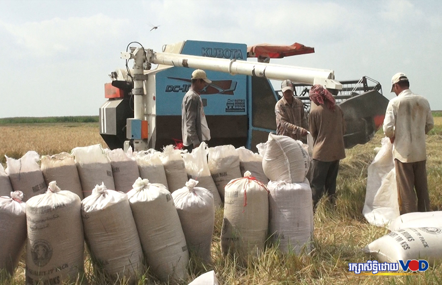 លោក ហ៊ុន សែន ថា អឺរ៉ុប​យកពន្ធ​លើ​អង្ករ​​កម្ពុជា​ប៉ះពាល់ធ្ងន់ធ្ងរដល់ខ្មែរនៅអឺរ៉ុប