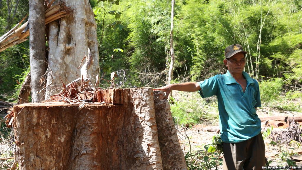 សង្គម​ស៊ីវិល​សុំ​ EU ​កុំ​​ទិញ​ឈើ​វៀតណាម​ដែល​លួច​ពី​កម្ពុជា