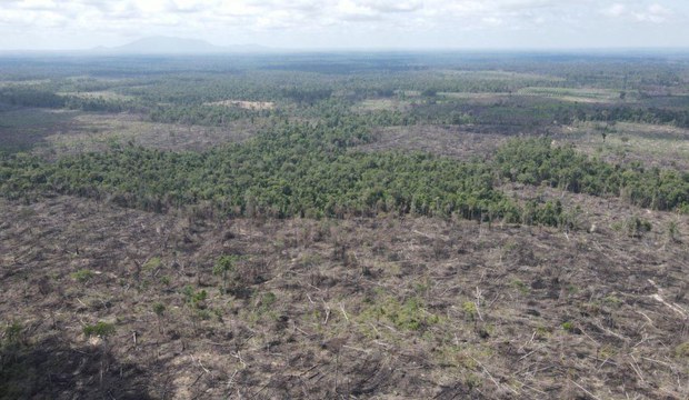ការ​ស្រាវជ្រាវ​បង្ហាញ​ថា ការ​កាប់​បំផ្លាញ​ព្រៃឈើ​បណ្តាល​ឲ្យ​កុមារ​ក្រិន ស្គមស្គាំង និង​ស្ត្រី​ស្លេកស្លាំង