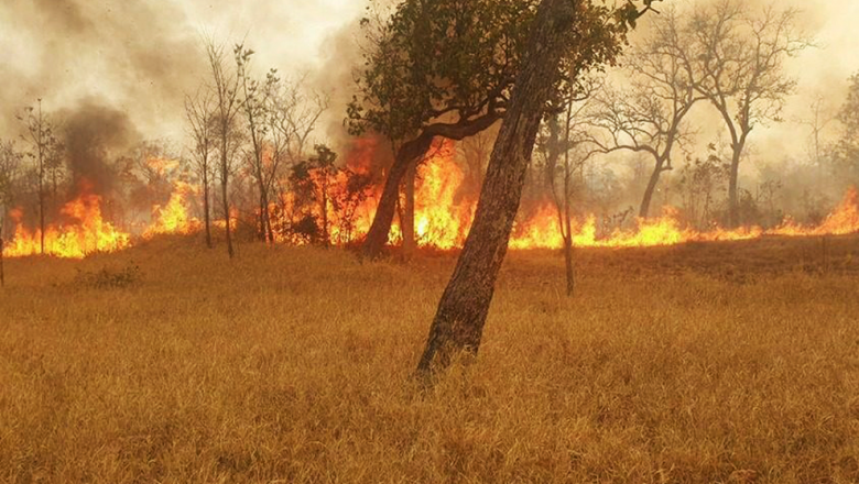 គ្រោះ​អគ្គិភ័យ​នៅ​ភ្នំពេញ​ និង​ខេត្ត​ ៣ ​បង្ក​របួស​ ៣ ​នាក់​ និង​ឆេះ​ព្រៃ​ជាង​ ១០០ ​ហិកតា