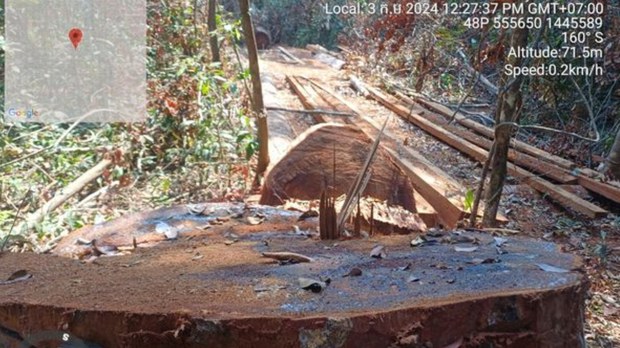 សហគមន៍​ព្រៃឡង់​ស្នើ​ឲ្យ​អាជ្ញាធរ​ថ្នាក់​ជាតិ​ចុះ​ទប់ស្កាត់​បទល្មើស​និង​ចាប់ខ្លួន​ជន​ប្រព្រឹត្ត​ដូច​ខេត្ត​ដទៃ