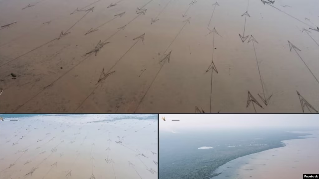 អ្នកតាមដានស្នើក្រសួងកសិកម្មត្រួតពិនិត្យឧបករណ៍នេសាទការពារមច្ឆជាតិ 