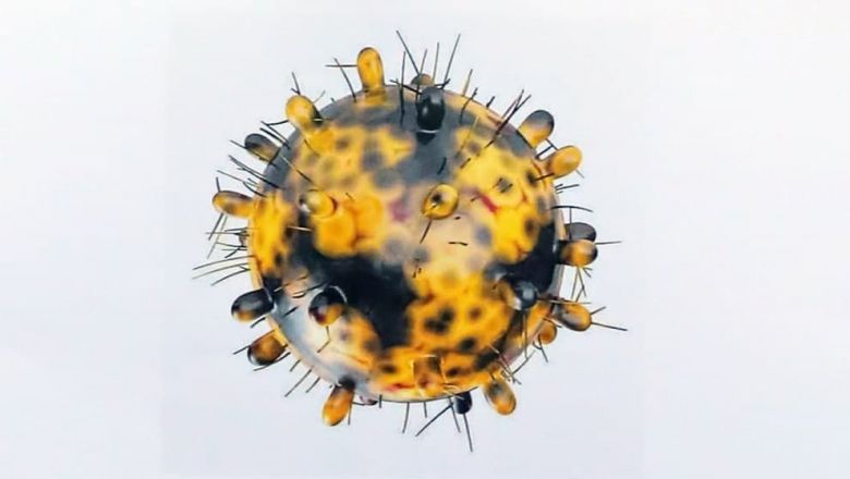 កម្ពុជា​រកឃើញ​អ្នក​ឆ្លង​មេរោគ​កូវីដ ១៩ ​ចំនួន​ ១១ នាក់​បន្ថែម​ទៀត ​និង​អ្នក​ជាសះ​ស្បើយ ​៤ នាក់