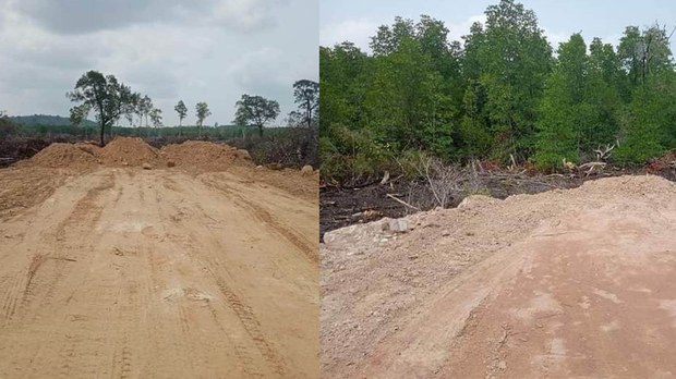 សង្គម​ស៊ីវិល​ស្នើ​ឱ្យ​អនុវត្ត​ច្បាប់​លើ​ឈ្មួញ​ចាក់​ដី​លុប​ព្រៃ​កោងកាង​ក្នុង​ខេត្ត​កោះ​កុង​