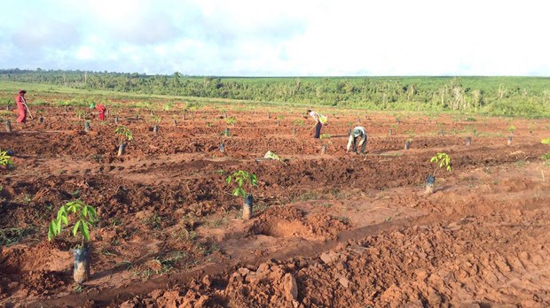 សហគមន៍​ខេត្ត​ព្រះវិហារ​ស្នើសុំ​អាជ្ញាធរ​ការពារ​ព្រៃ​សហគមន៍​ដែល​នៅ​សល់​តិចតួច