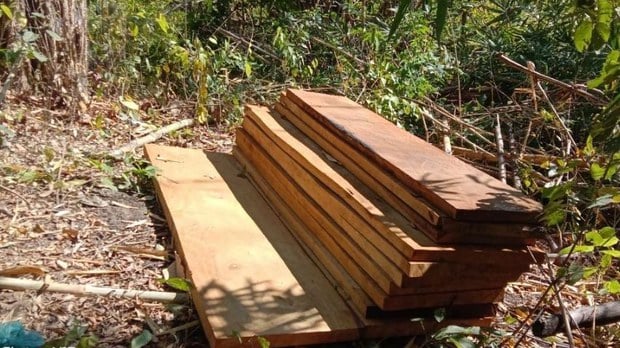 សហគមន៍​ខេត្ត​កំពង់ស្ពឺ​ថា មន្ត្រី​បរិស្ថាន​បើកដៃ​ឱ្យ​ជនល្មើស​កាប់​ឈើ​ទ្រង់ទ្រាយ​ធំ​នៅ​ជើងភ្នំ​ឱរ៉ាល់