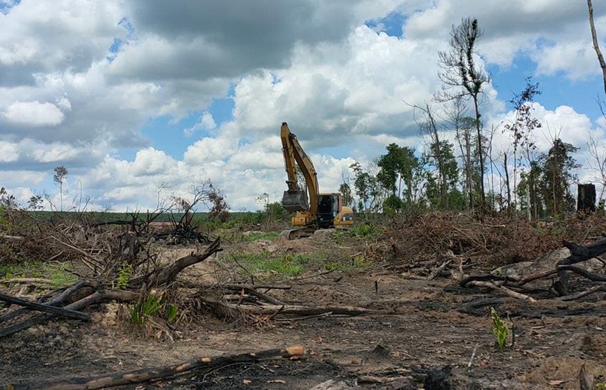 ជន​​ជាតិ​​ដើម​​ភាគ​​តិច​ស្នើ​អាជ្ញាធរ​ចាត់​វិធានការ​ច្បាប់​លើ​​ក្រុមហ៊ុន​​​ឈូស​ឆាយ​​តំបន់​​ប្រវត្តិ​​សាស្ត្រ​​​នៅ​​ខេត្ត​​ព្រះវិហារ​ ​