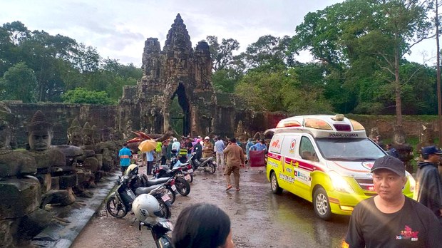  អាជ្ញាធរ​អប្សរា​នឹង​ពិនិត្យ​មើល និង​កាប់​ដើមឈើ​ ដែល​អាច​រលំ​​​ក្នុង​រដូវ​ភ្លៀង ​ក្រោយ​ពី​បុរស​ម្នាក់​​ស្លាប់ ​ដោយ​សារ​ដើម​ឈើ​រលំ​សង្កត់