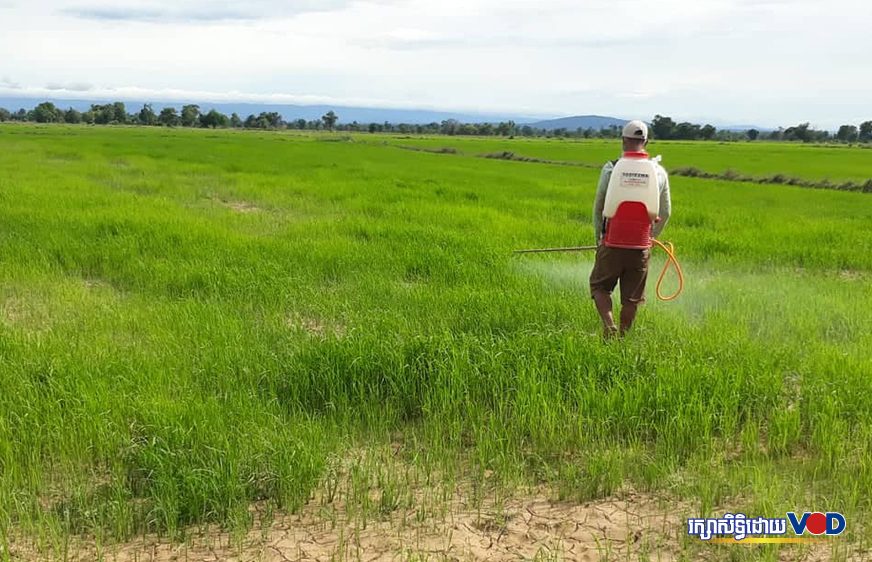 ក្រសួង​ថា​ ថ្នាំ​និង​ជី​កសិកម្ម​ឡើង​ថ្លៃ​មក​ពី​ប្រទេស​​ផលិត​មិន​អាច​ឆ្លើយ​តប​តាម​ការ​បញ្ជា​ទិញ​ពី​កម្ពុជា
