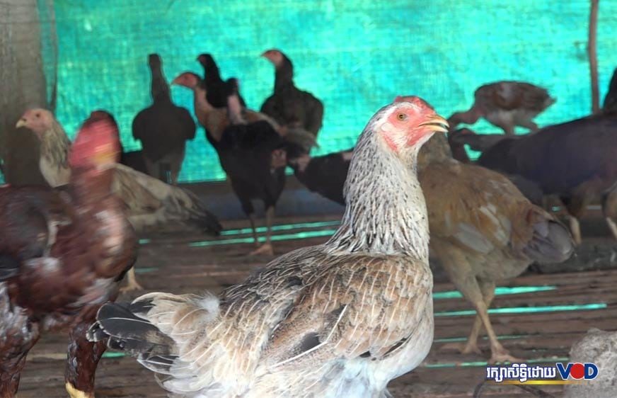 ក្រសួងរំលឹកពលរដ្ឋឱ្យអនាម័យនៅរដូវបុណ្យសែនដូនតា