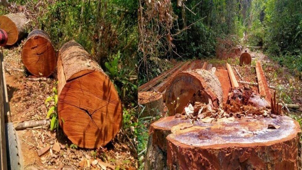 លោក ហ៊ុន សែនថា សកម្មជនបរិស្ថានគួរធ្វើការជាមួយរដ្ឋាភិបាល ជាជាងនៅឈរបាតុកម្ម