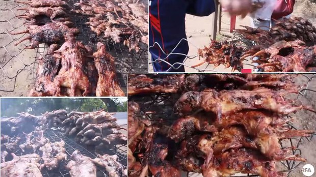 ពលរដ្ឋ​ក្រីក្រ ៥ភូមិ ក្នុង​ខេត្ត​កណ្ដាល​ដាក់អន្ទាក់​ចាប់​កណ្ដុរ​ធ្វើ​អាហារ