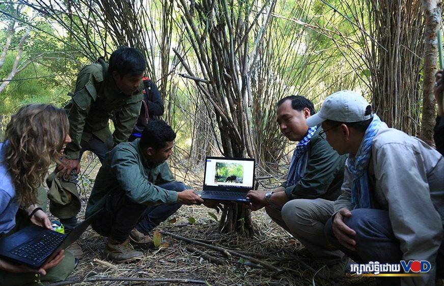 បទ​សម្ភាសន៍​៖​ អត្ថ​​ប្រយោជន៍​​នៃ​​ការ​​ដាក់​​កា​មេ​រ៉ា​​ចាប់​​រូបភាព​​សត្វ​ព្