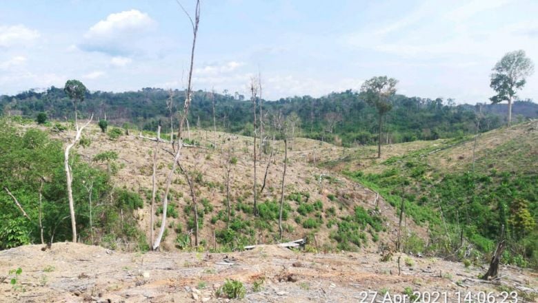 មនុស្ស ៥ នាក់ នឹង​ត្រូវ​បញ្ជូន​ទៅ​តុលាការ​ពាក់ព័ន្ធ​នឹង​ការ​ឈូស​ឆាយ​កាប់​រាន​ដី​ព្រៃ​ក្នុង​ដែន​ជម្រក​សត្វ​ព្រៃ​កែវសីមា