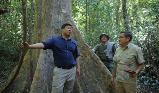 បណ្ដាញ​សហគមន៍​​បន្ត​ជំរុញ​ឱ្យ​រដ្ឋាភិបាល​លុបចោល​បម្រាម​ល្បាត​ព្រៃឈើ​ក្នុង​តំបន់​ព្រៃឡង់