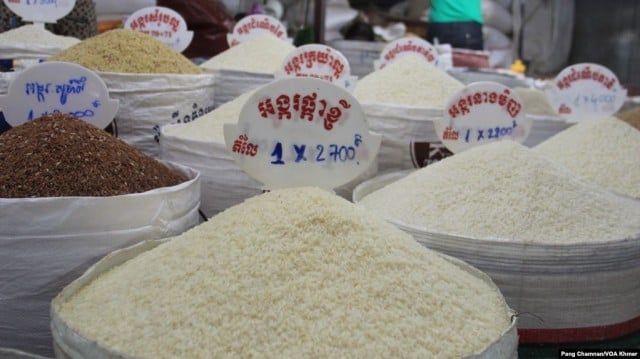 សហព័ន្ធស្រូវអង្ករកម្ពុជា លក់បញ្ចុះតម្លៃអង្ករ ពី១ ទៅ២ម៉ឺនរៀល ក្នុងមួយបាវ 