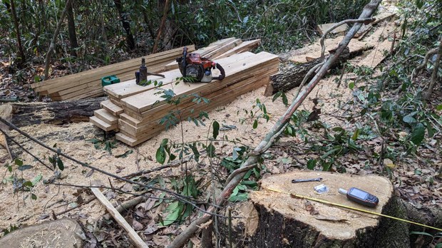 សហគមន៍​ដែន​ជម្រក​សត្វព្រៃ​ព្រះរការ​ថា បទល្មើស​ព្រៃឈើ​បន្ត​កើត​មាន​ដោយសារ​មន្ត្រី​បរិស្ថាន​អសមត្ថភាព