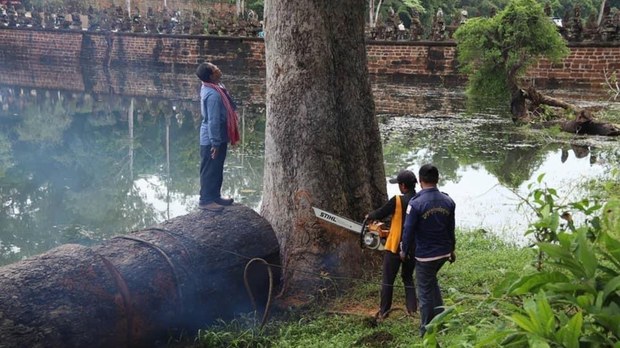 អាជ្ញាធរ​អប្សរា​រង​ការ​រិះគន់​ថា យក​លេស​បង្ការ​ហានិភ័យ​កាប់​ឈើ​ក្នុង​តំបន់​អង្គរ