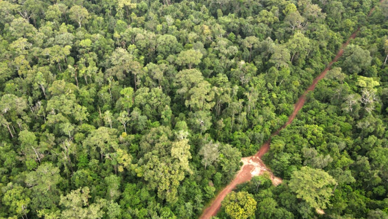 មន្ត្រី​អះអាង​ពី​ការតាំង​ចិត្ត​ក្នុង​ការដោះស្រាយ​បញ្ហា​ប្រឈម​នៅ​ដែនជម្រក​សត្វព្រៃ