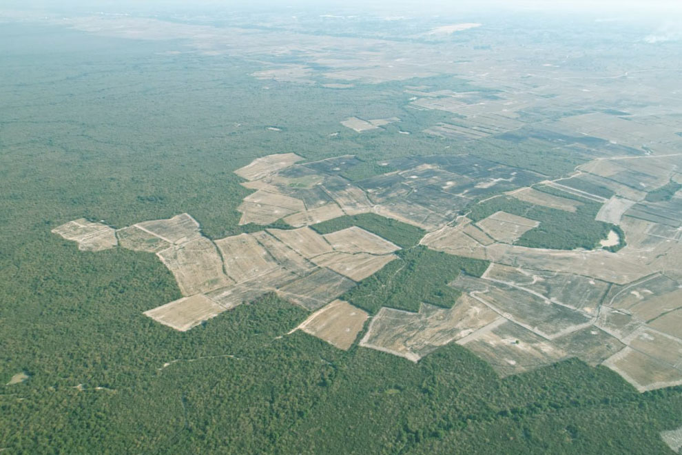 ខេត្ត​ ៣​ ព្រមាន​ចាត់វិធានការ​ក្តៅ​លើ​មន្ត្រី និង​ពលរដ្ឋ​ដែល​បន្ត​កាប់​ទន្ទ្រាន​ដីព្រៃ​ខុសច្បាប់​