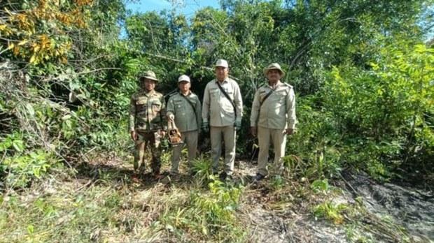 សហគមន៍​ព្រៃឡង់​រក​ឃើញ​ថា គម្រោង​រ៉េដ​បូក​២​ខេត្ត​បរាជ័យ​លើ​ការ​ការពារ​ព្រៃឈើ