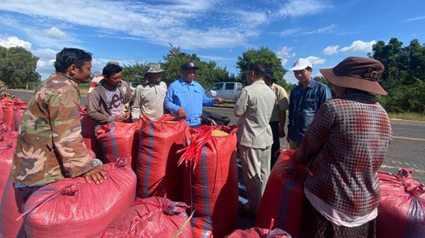 ស្រូវ​ចុះ​ថោក ធ្វើ​ឱ្យ​កសិករ​នៅ​ខេត្ត​បាត់ដំបង និង​បន្ទាយមានជ័យ​បារម្ភ​អំពី​ជីវភាព