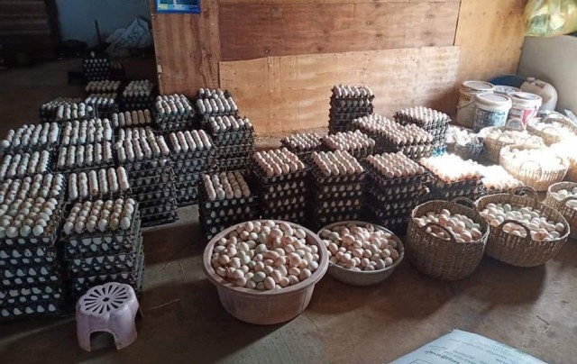 តម្លៃ​ពង​ទា​ចុះថោក ប៉ុន្តែ​ចំណី​ទា​បន្ត​ឡើងថ្