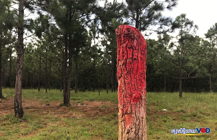 ជនជាតិដើមស្នើព្រឹទ្ធសភាដាក់ធាតុចូលរបស់ខ្លួនទៅក្នុងសេចក្ដីព្រាងវិសោធនកម្មច្បាប់តំបន់ការពារធនធានធម្មជាតិនិងច្បាប់ព្រៃឈើ