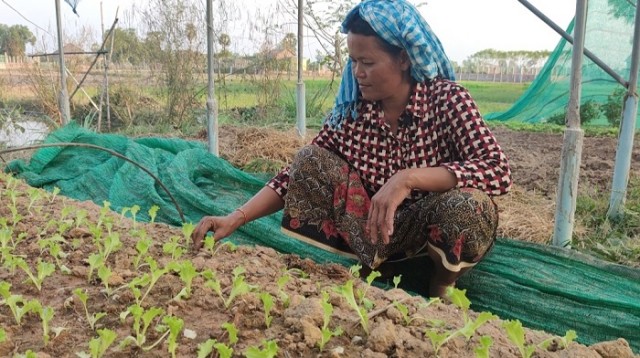 ជំរឿន​២០១៩៖ កម្លាំង​ពលកម្ម​ក្នុង​វិស័យ​កសិកម្ម​កម្ពុជា​ធ្លាក់ចុះ តែ​វិស័យ​កម្មន្តសាល និង​សំណង់ កើន