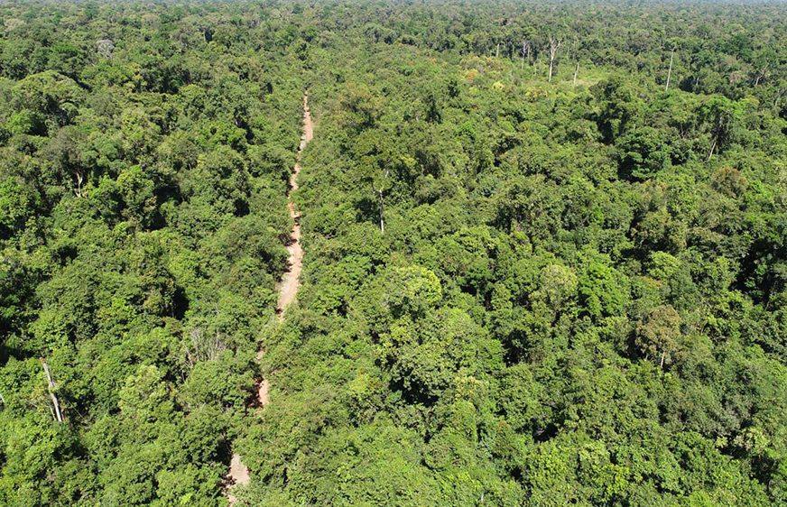 កម្ពុជា​មាន​មោទកភាព​ដែល​មាន​ព្រៃឈើ​ច្រើន​