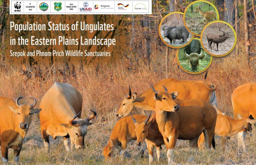 WWF និងក្រសួងបរិស្ថានបារម្ភពីការបាត់បង់សត្វព្រៃ