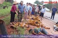 យុវជនម្នាក់ស្លាប់ និង​នេន​៥អង្គរងរបួសក្នុងគ្រោះថ្នាក់ចរាចរណ៍នៅ​ខេត្ត​កោះកុង